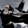 CROWS